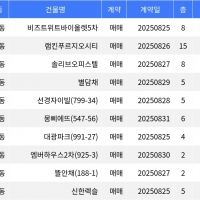thumbnail - “매매가 8천만원”... 금천구 주간 최저가 매물, ‘가산동 비즈트위트바이올렛5차’