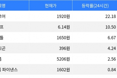 thumbnail - 밈코어, 시가총액 300위권 24시간 등락률 1위