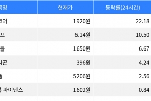 기사로 이동 - 밈코어, 시가총액 300위권 24시간 등락률 1위