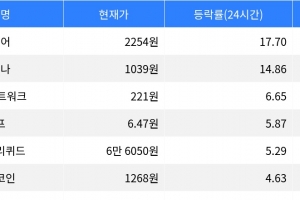 기사로 이동 - 밈코어, 시가총액 300위권 24시간 등락률 1위