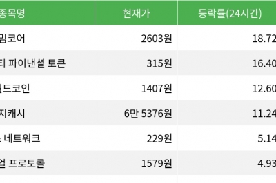 thumbnail - 밈코어, 시가총액 300위권 24시간 등락률 1위 상승