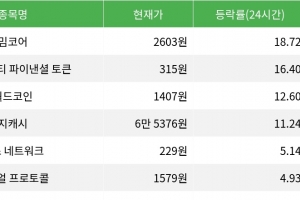 기사로 이동 - 밈코어, 시가총액 300위권 24시간 등락률 1위 상승