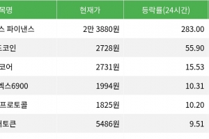 기사로 이동 - 엠와이엑스 파이낸스, 시가총액 300위권 24시간 등락률 1위 상승