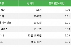 기사로 이동 - 펏지 펭귄, 시가총액 300위권 24시간 등락률 1위