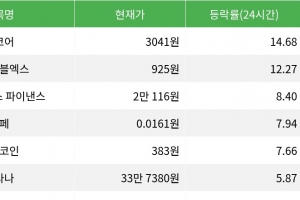 기사로 이동 - 밈코어, 시가총액 300위권 24시간 등락률 1위