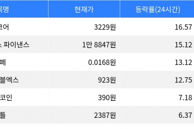 thumbnail - 밈코어, 시가총액 300위권 24시간 등락률 1위