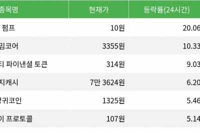 thumbnail - 펌프, 시가총액 300위권 24시간 등락률 1위