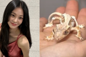 기사로 이동 - 한지은, 동물 학대 논란…‘뼈말라 도마뱀’ 갑론을박