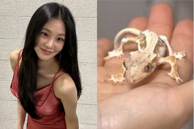 thumbnail - 한지은, 동물 학대 논란…‘뼈말라 도마뱀’ 갑론을박