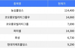 기사로 이동 - 농심홀딩스, 상한가 기록하며 주목 받아