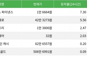 기사로 이동 - 엠와이엑스 파이낸스, 시가총액 300위권 24시간 등락률 1위