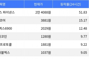 기사로 이동 - 엠와이엑스 파이낸스, 시가총액 300위권 24시간 등락률 1위