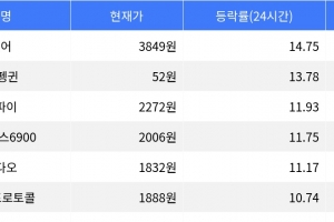 기사로 이동 - 밈코어, 시가총액 300위권 24시간 등락률 1위 상승세