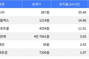 기사로 이동 - 아스터, 시가총액 300위권 24시간 등락률 1위 상승