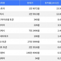 thumbnail - 스토리, 시가총액 300위권 24시간 등락률 1위