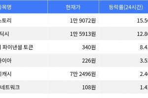 기사로 이동 - 스토리, 시가총액 300위권 24시간 등락률 1위