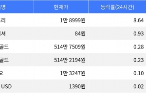 기사로 이동 - 스토리, 시가총액 300위권 24시간 등락률 1위