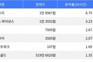 기사로 이동 - 스토리, 시가총액 300위권 24시간 등락률 1위 부상