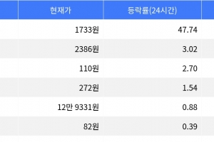 기사로 이동 - 플라즈마, 시가총액 300위권 24시간 등락률 1위