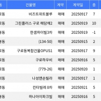 thumbnail - “매매가 9천9백만원”... 구로구 주간 최저가 매물, ‘구로동 비즈트위트블루’