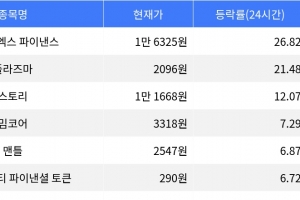 기사로 이동 - 엠와이엑스 파이낸스, 시가총액 300위권 24시간 등락률 1위