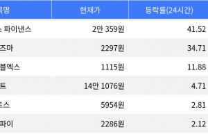 기사로 이동 - 엠와이엑스 파이낸스, 시가총액 300위권 24시간 등락률 1위