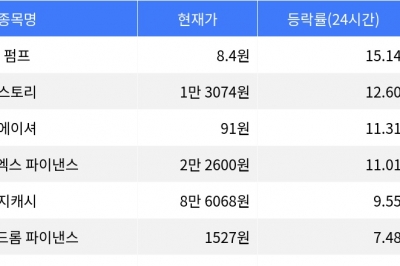 thumbnail - 펌프, 시가총액 300위권 24시간 등락률 1위