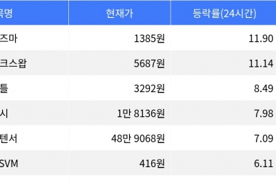 thumbnail - 플라즈마, 시가총액 300위권 24시간 등락률 1위