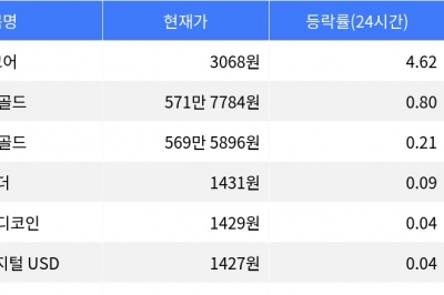 thumbnail - 밈코어, 시가총액 300위권 24시간 등락률 1위