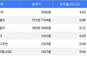 기사로 이동 - 밈코어, 시가총액 300위권 24시간 등락률 1위
