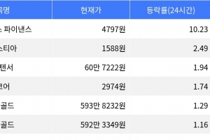 기사로 이동 - 엠와이엑스 파이낸스, 시가총액 300위권 24시간 등락률 1위
