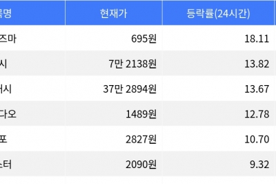 thumbnail - 플라즈마, 시가총액 300위권 24시간 등락률 1위