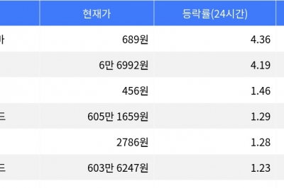 thumbnail - 플라즈마, 시가총액 300위권 24시간 등락률 1위
