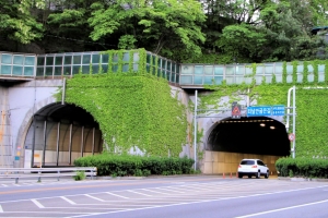기사로 이동 - 과태료 3만원 아끼려다 목숨까지? 99.8% 운전자가 모르는 ‘이것’의 정체
