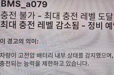 thumbnail - 1등 하더니... 결함 70% ‘이 수입차’ 오너들 눈물