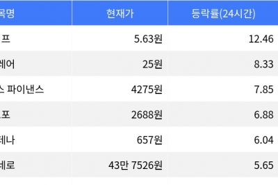 thumbnail - 펌프, 시가총액 300위권 24시간 등락률 1위