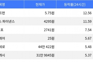 기사로 이동 - 펌프펀, 시가총액 300위권 24시간 등락률 1위