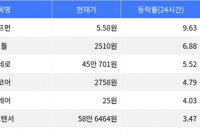 thumbnail - 펌프펀, 시가총액 300위권 24시간 등락률 1위