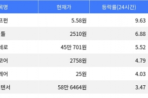 기사로 이동 - 펌프펀, 시가총액 300위권 24시간 등락률 1위