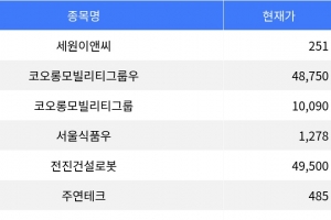 기사로 이동 - 세원이앤씨, 장 마감 하락률 1위 기록 -19.03%