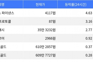 기사로 이동 - 엠와이엑스 파이낸스, 시가총액 300위권 24시간 등락률 1위