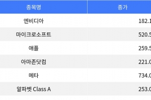 기사로 이동 - 테슬라 2% 상승, 넷플릭스 0.25% 하락…나스닥 종합 상승 마감
