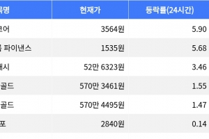 기사로 이동 - 밈코어, 시가총액 300위권 24시간 상승률 1위 절정
