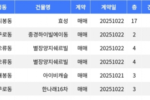 기사로 이동 - “매매가 51억”... 구로구 주간 매매가 1위, ‘가리봉동 효성’