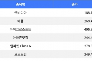 기사로 이동 - 엔비디아 소폭 상승, 애플 하락…나스닥 혼조세
