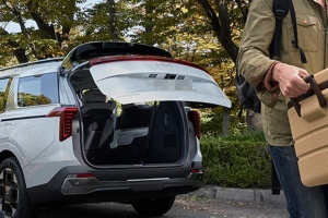 기사로 이동 - “시그니처 사면 호구?”… 우리 가족 딱 맞는 카니발, 이걸로 고민 끝