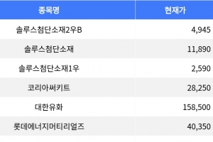 기사로 이동 - 솔루스첨단소재2우B, 29.96% 등락률로 상한가 기록