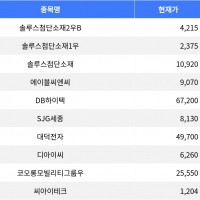 thumbnail - 솔루스첨단소재2우B, 14.76% 하락 마감