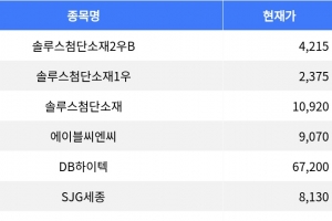 기사로 이동 - 솔루스첨단소재2우B, 14.76% 하락 마감