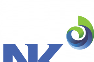 기사로 이동 - 엔케이, 상한가 기록하며 1위 등극